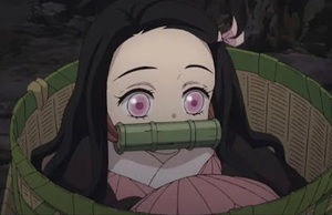 Meet your Posher, Daiana